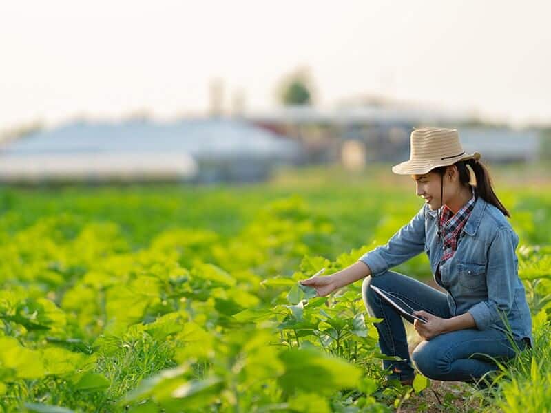Farmer are planning to farm on tablets.