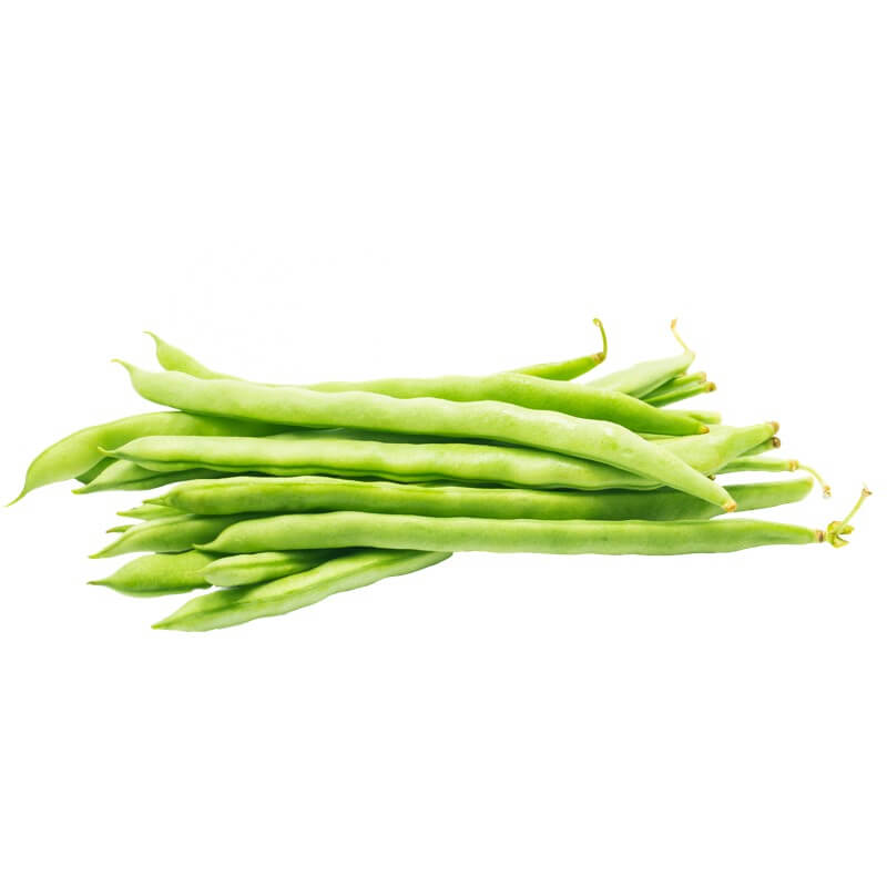 Organic Bean
